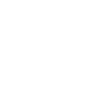 Minnesota Lynx