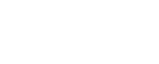 Minnesota Vikings